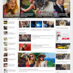 Flex Mag News Theme